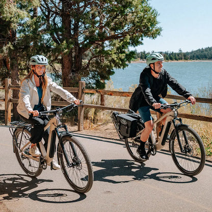 Bicicletta Elettrica Trekking Fiido Nomads