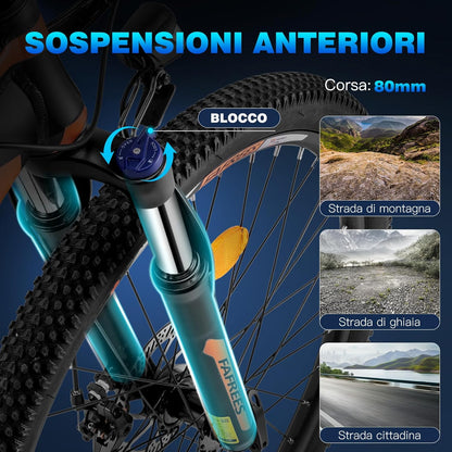 Bici Elettrica Fafrees