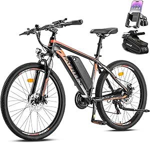 Bici Elettrica Fafrees