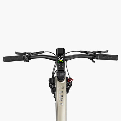 Bicicletta Elettrica Trekking Fiido Nomads